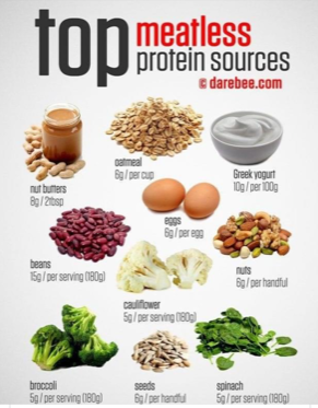 Meatless Protein Sources